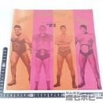 日本プロレス 1971年 ワールドチャンピオンシリーズ ’71 興行パンフレット