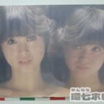 ソニー SONY 松田聖子 シルエット SILHOUETTE A1 ポスター