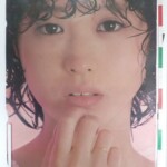 ソニーミュージック 松田聖子 青い珊瑚礁 販促用 店頭用 特大 ポスター