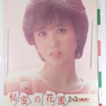 CBSソニー 松田聖子 秘密の花園 店頭用販促 ポスター A1サイズ