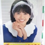 ビクター 小泉今日子 詩色の季節 店頭用 販促 ポスター A1サイズ