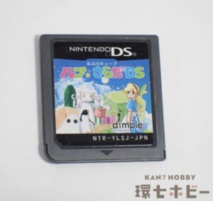 DS るぷぷキューブ ルプ☆さらだDS ニンテンドーDS ソフトのみ