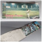 カルビー プロ野球カード アルバム カード