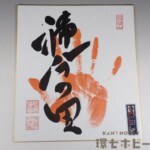 肉筆 直筆 大相撲 稀勢の里 手形 サイン 色紙 額装