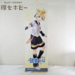 DD DDS VOLKS ボークス ドルフィードリームシスター 鏡音レン