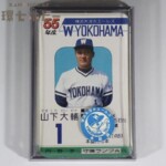 旧タカラ 昭和55年度版 プロ野球ゲーム 球団別選手カード 横浜大洋ホエールス 30枚セット