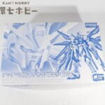 未組立 バンダイ RG 1/144 ZGMF-X20A ストライクフリーダムガンダム チタニウムフィニッシュ プラモデル