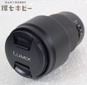 Panasonic パナソニック LUMIX G VARIO 100-300mm F4.0-5.6 MEGA O.I.S. H-FS100300