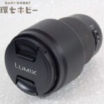 Panasonic パナソニック LUMIX G VARIO 100-300mm F4.0-5.6 MEGA O.I.S. H-FS100300