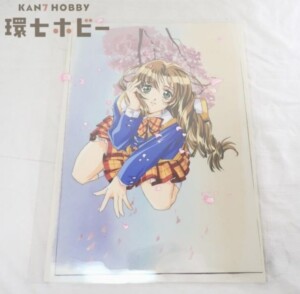 elf エルフ 同級生2 卒業生 杉本桜子 OVA 大判 セル画