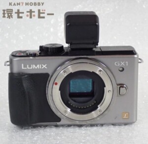 パナソニック ルミックス DMC-GX1 デジタルカメラ ボディ
