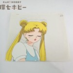 美少女戦士セーラームーン 月野うさぎ セル画 動画