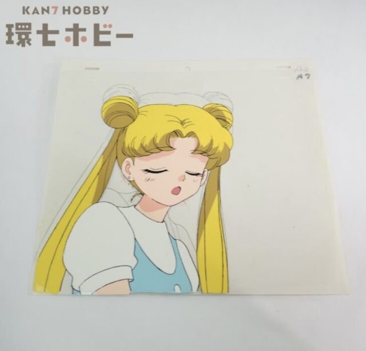 美少女戦士セーラームーン 月野うさぎ セル画 動画