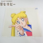 美少女戦士セーラームーン 月野うさぎ セル画 動画