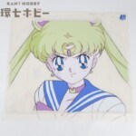 美少女戦士セーラームーン セル画 動画