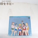 美少女戦士セーラームーン セーラー戦士 タキシード仮面 セル画 動画