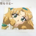 魔法騎士レイアース 鳳凰寺風 セル画 動画