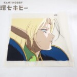 ロードス島戦記 ディードリット セル画