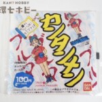 未開封 バンダイ ドラゴンボール 即席プラスチックモデル ブルマ プラモデル