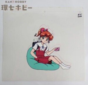 愛と勇気のピッグガール とんでぶーりん 国分果林