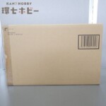 未開封 バンダイ METAL BUILD 機動戦士ガンダム クロスボーンガンダムX2