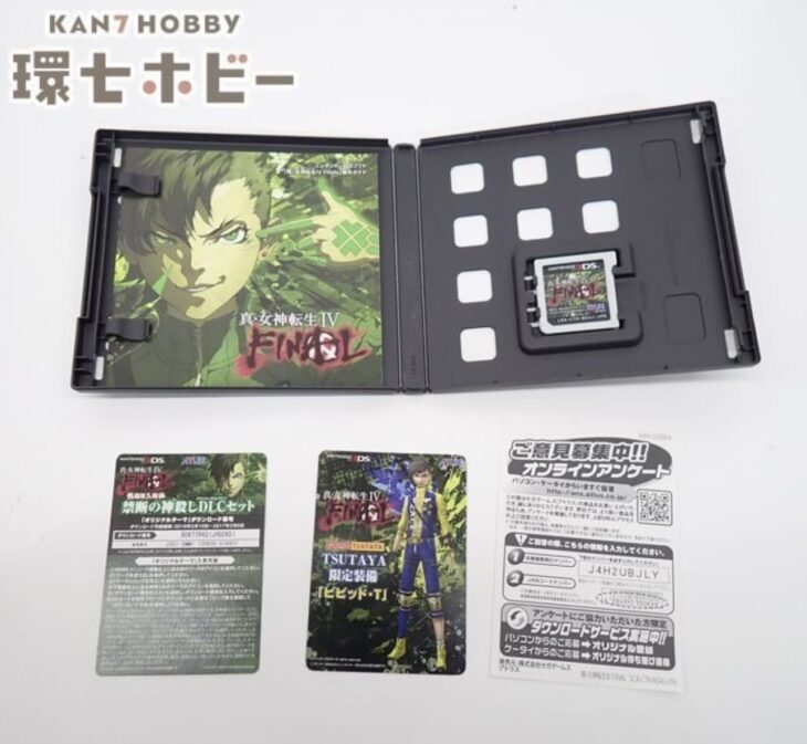 3DS 任天堂 真・女神転IV ファイナル 箱・説明書有 ニンテンドー3DS ソフト