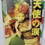 ブレノンアッシュ 天使の涙 ウォン・カーウァイ ポスター B2